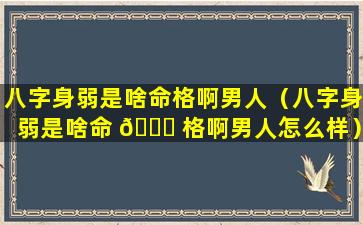 八字身弱是啥命格啊男人（八字身弱是啥命 🐛 格啊男人怎么样）